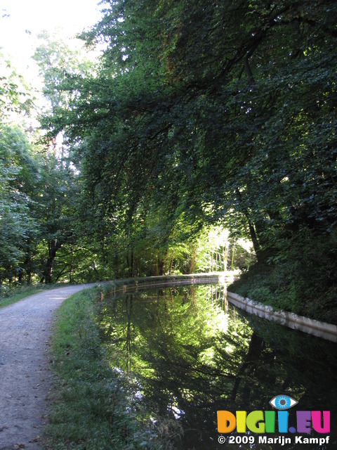 SX09672 Sunlit trees reflected in Monmouthshire and Brecon Canal